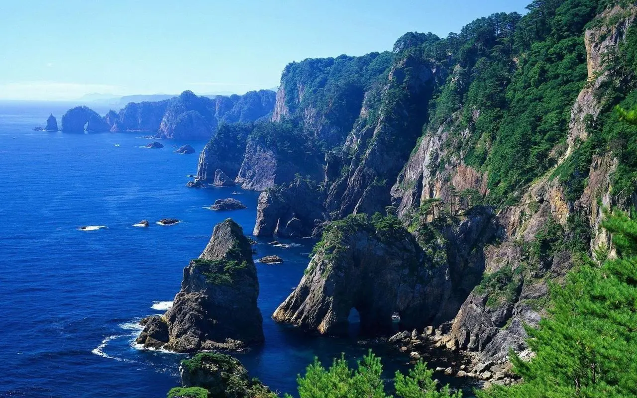 自动化高端